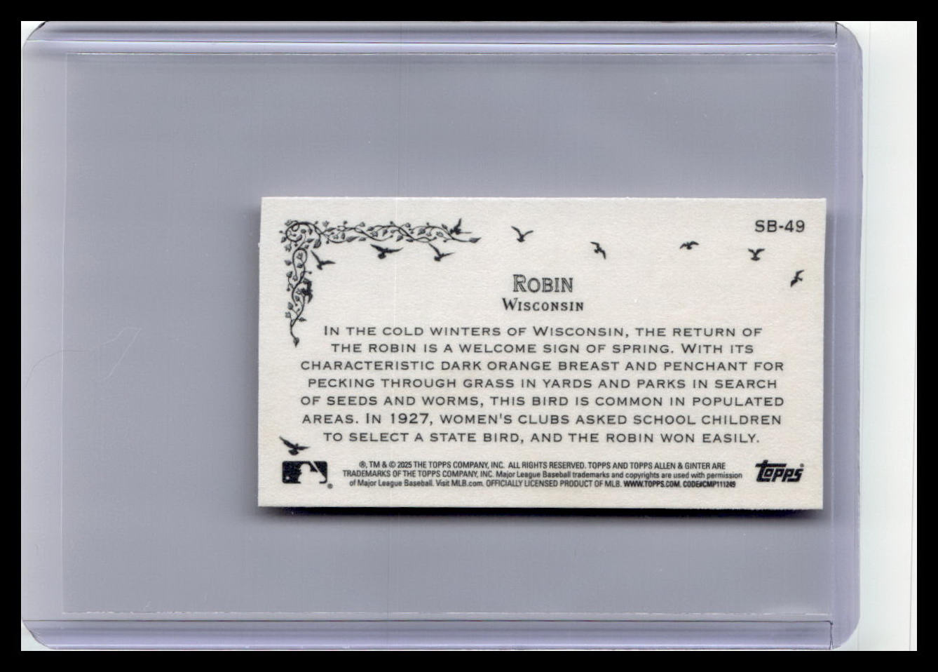 2025 Topps Allen & Ginter #SB-49 Robin Mini State Birds