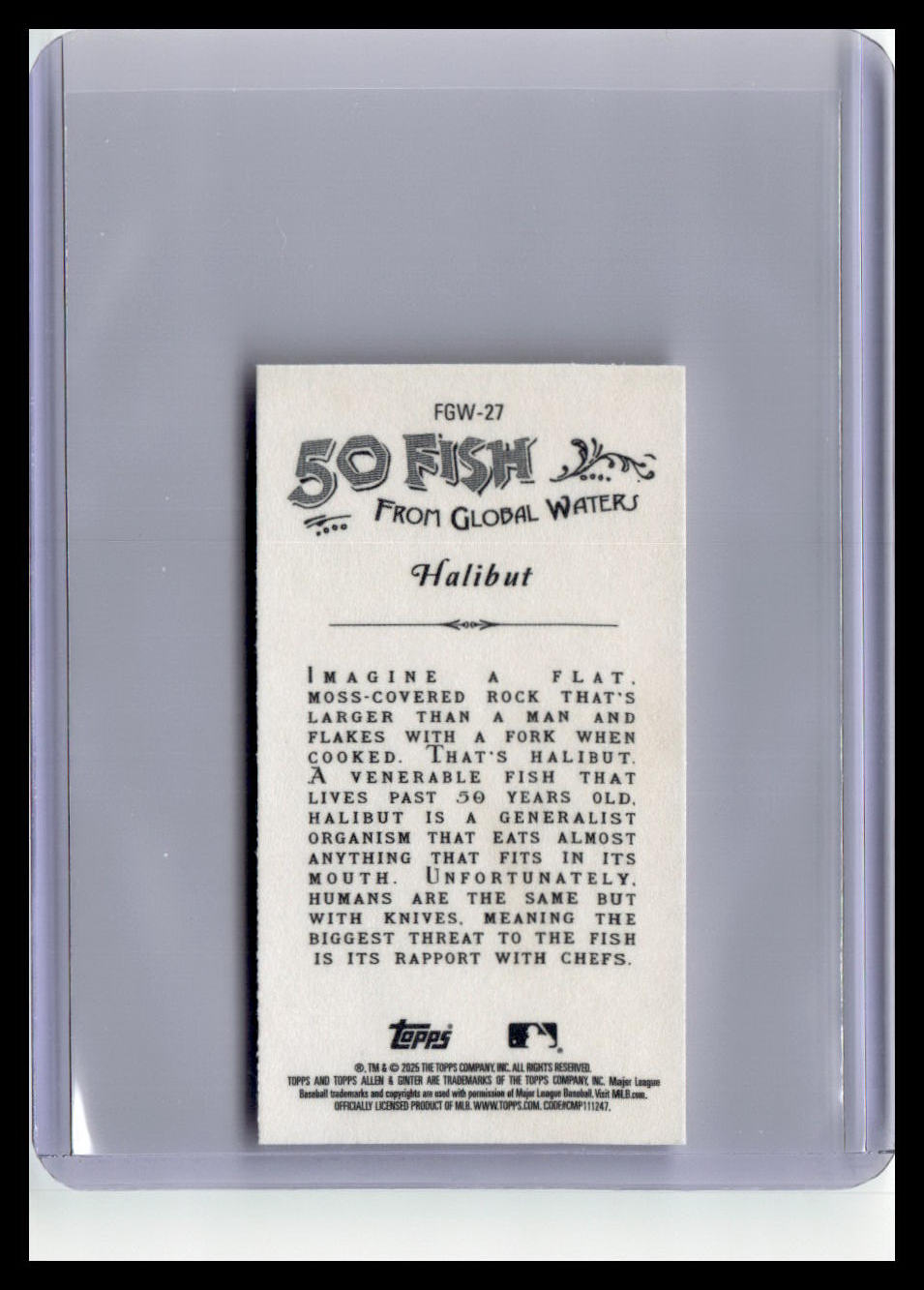 2025 Topps Allen & Ginter #FGW-27 Halibut Mini 50 Fish from Global Waters