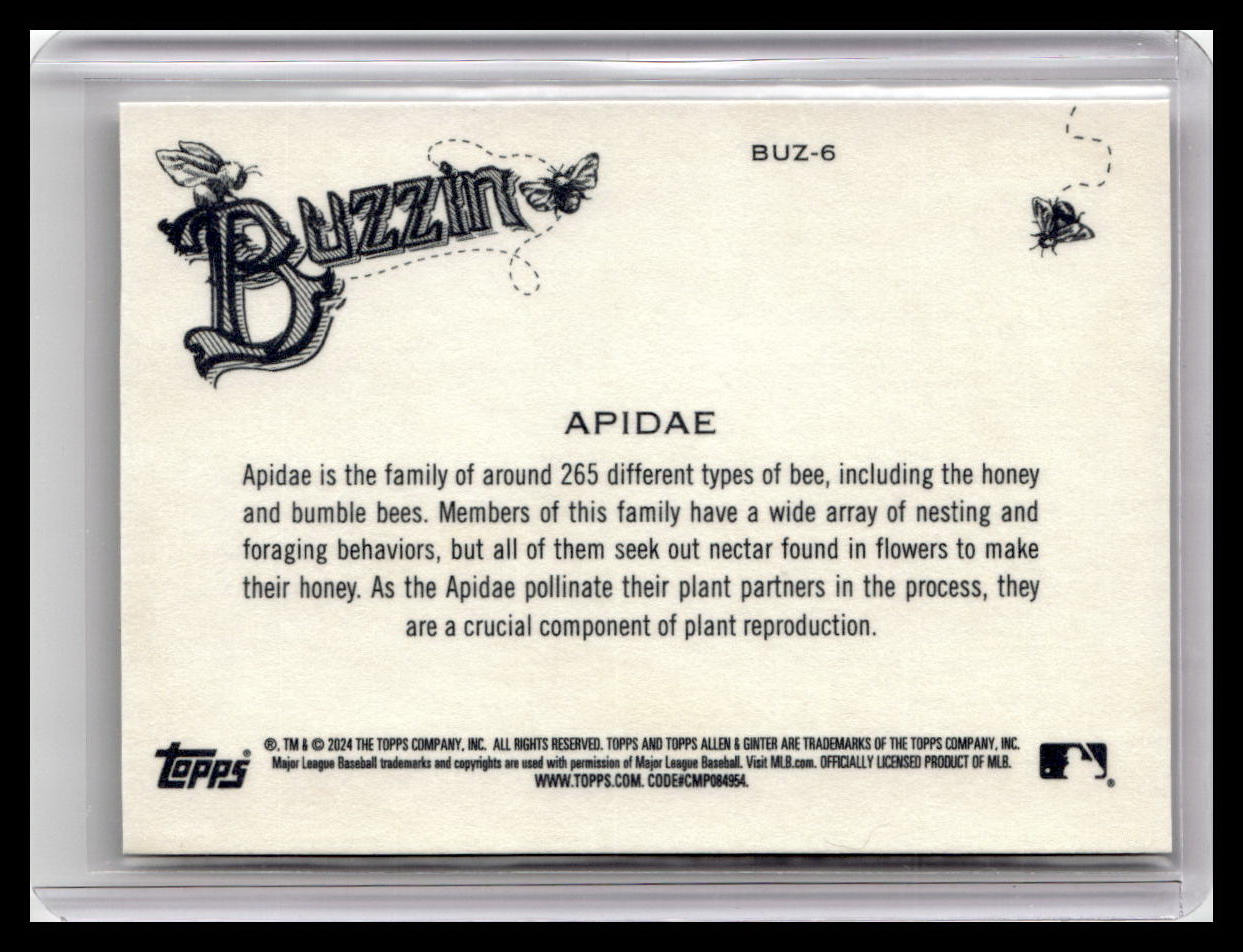 2024 Topps Allen & Ginter #BUZ-6 Apidae Buzzin'