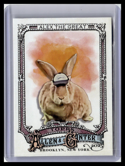 2025 Topps Allen & Ginter #230 Alex the Great