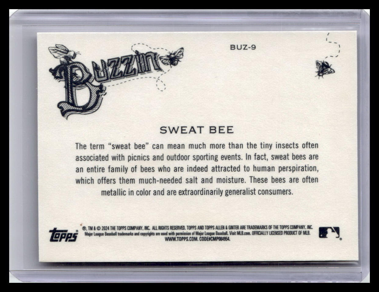 2024 Topps Allen & Ginter #BUZ-9 Sweat Bee Buzzin'
