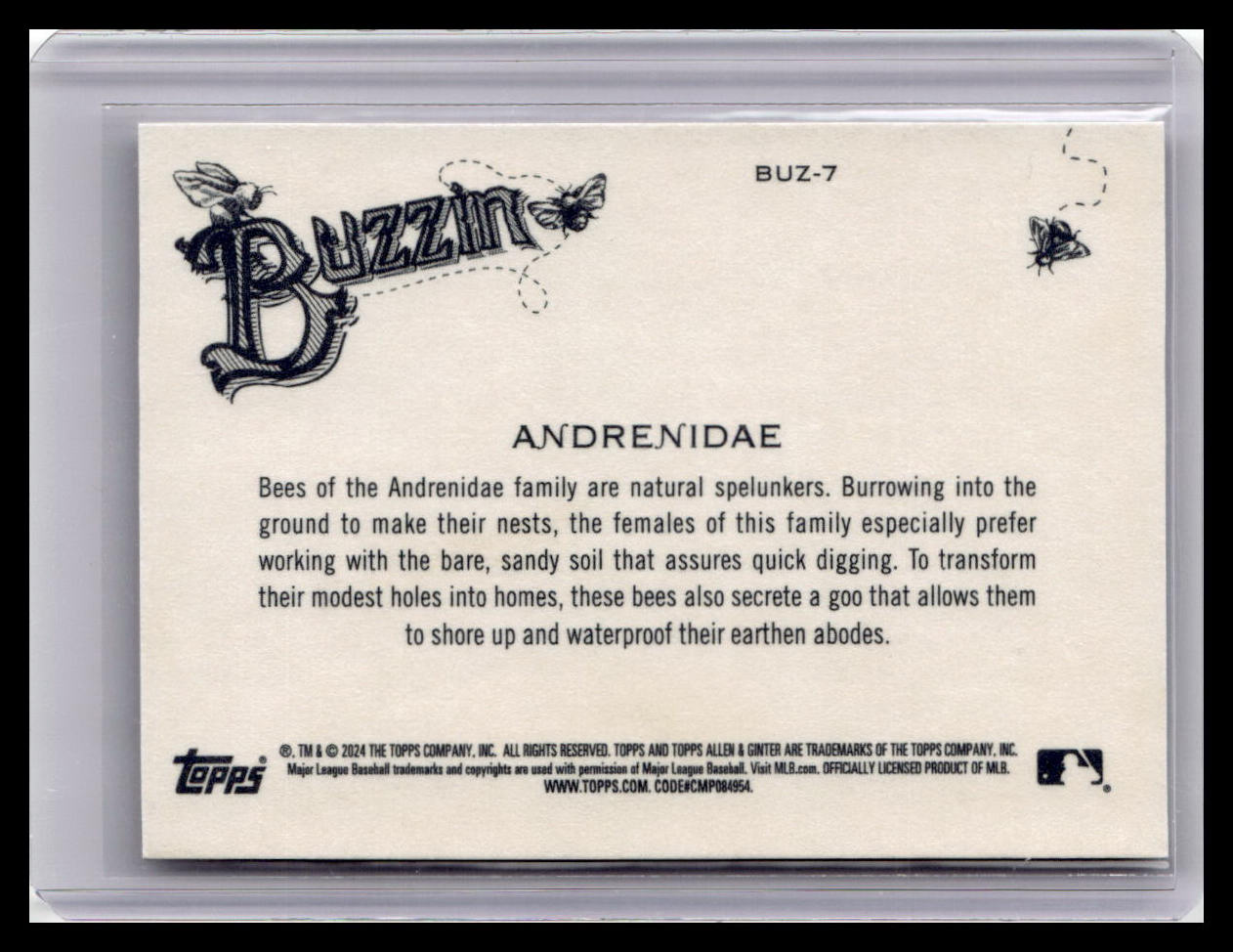 2024 Topps Allen & Ginter #BUZ-7 Andrenidae Buzzin'