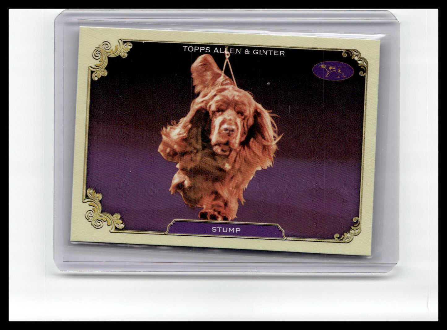 2024 Topps Allen & Ginter #SOS-22 Stump Stars of the Show The Westminster