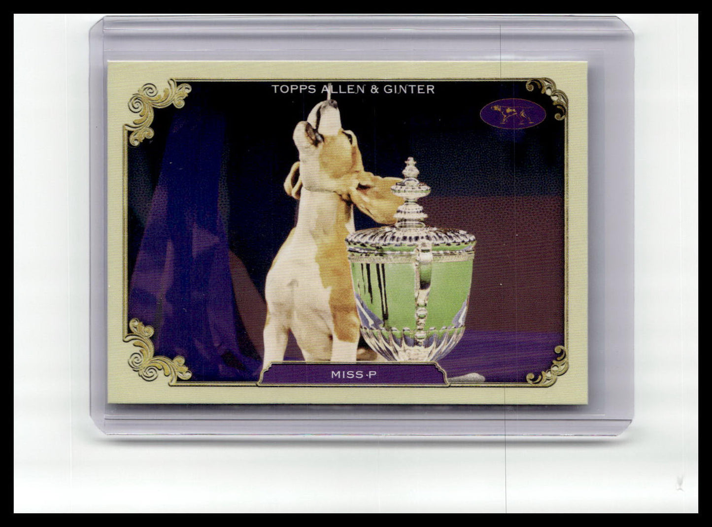 2024 Topps Allen & Ginter #SOS-18 Miss P Stars of the Show The Westminster