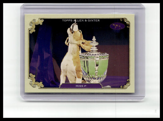 2024 Topps Allen & Ginter #SOS-18 Miss P Stars of the Show The Westminster