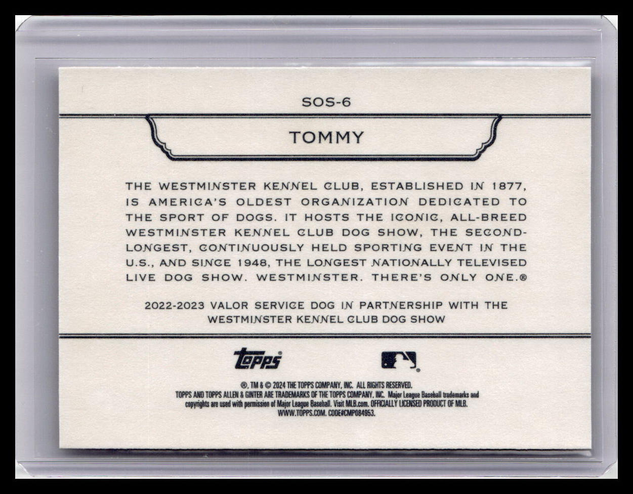2024 Topps Allen & Ginter #SOS-6 Tommy Stars of the Show The Westminster
