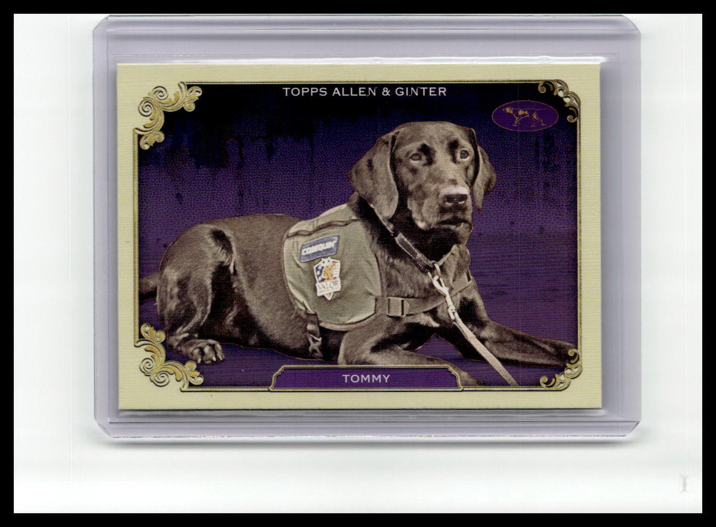 2024 Topps Allen & Ginter #SOS-6 Tommy Stars of the Show The Westminster