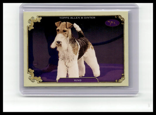 2024 Topps Allen & Ginter #SOS-14 King Stars of the Show The Westminster