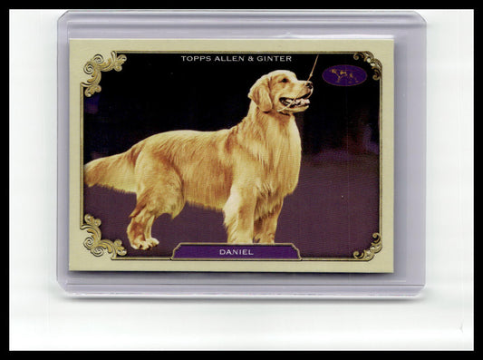 2024 Topps Allen & Ginter #SOS-7 Daniel Stars of the Show The Westminster