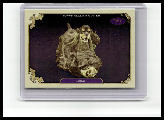 2024 Topps Allen & Ginter #SOS-28 Micah Stars of the Show The Westminster