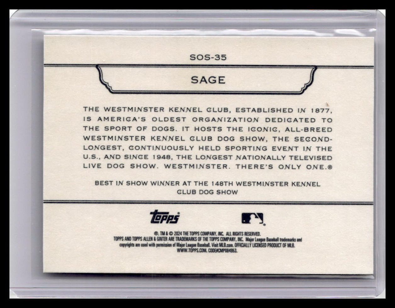 2024 Topps Allen & Ginter #SOS-35 Sage Stars of the Show The Westminster