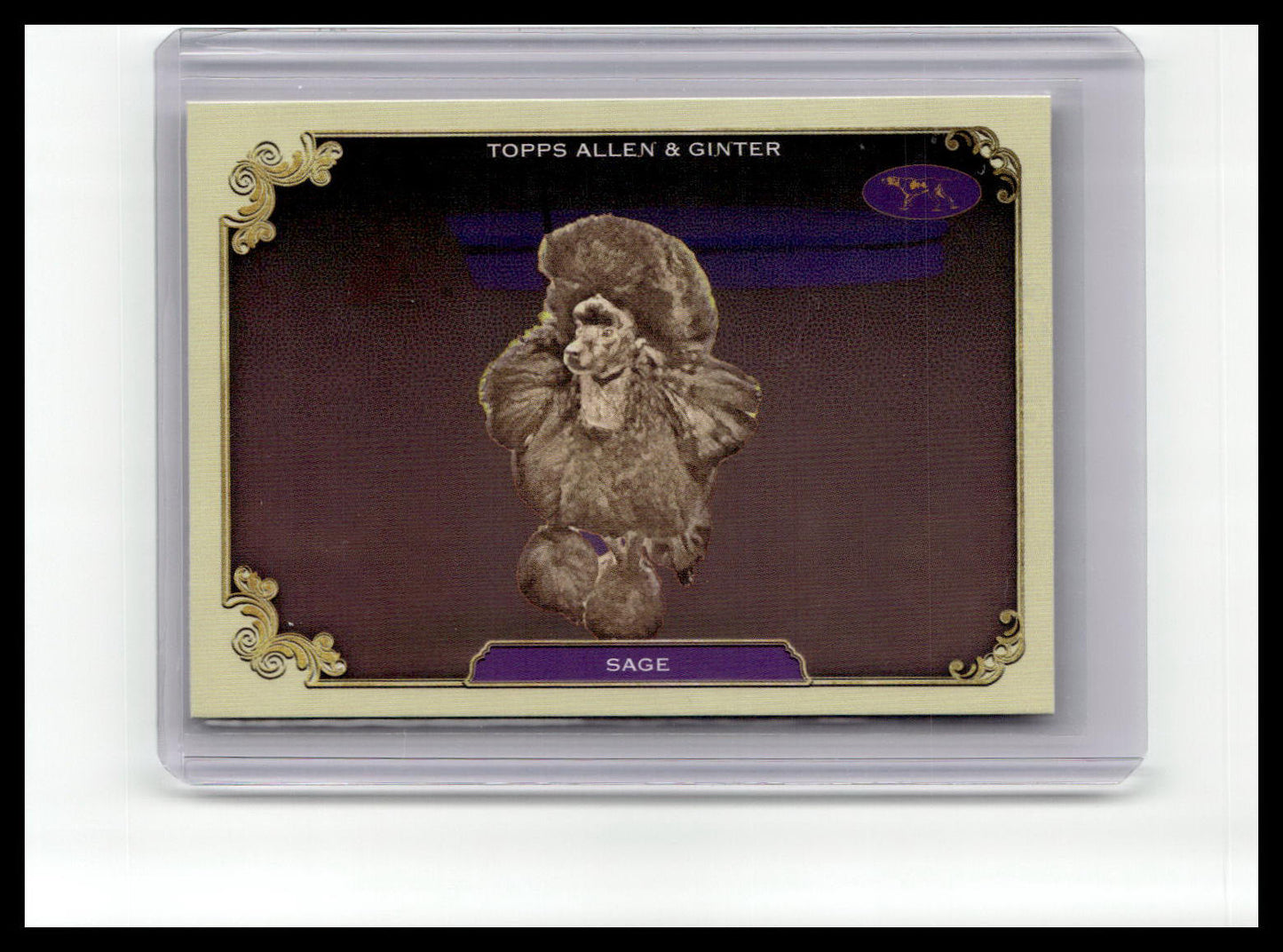 2024 Topps Allen & Ginter #SOS-35 Sage Stars of the Show The Westminster
