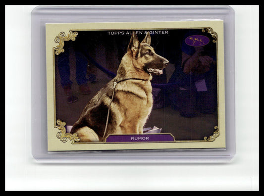 2024 Topps Allen & Ginter #SOS-16 Rumor Stars of the Show The Westminster