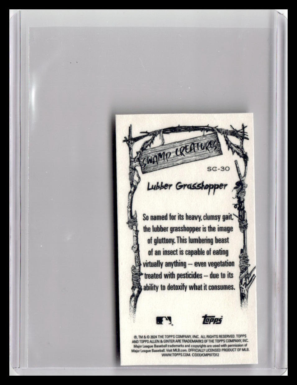 2024 Topps Allen & Ginter #SC-30 Lubber Grasshopper Mini Swamp Creatures