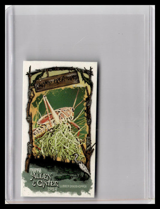 2024 Topps Allen & Ginter #SC-30 Lubber Grasshopper Mini Swamp Creatures